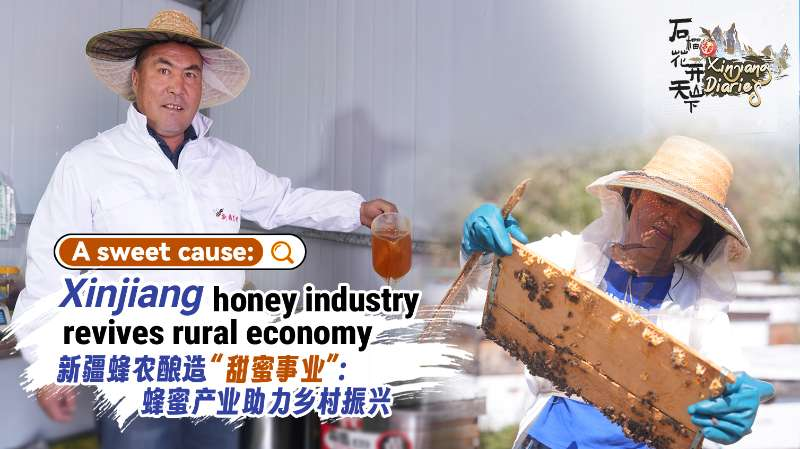 Sweet Success: Xinjiang’s Honey Buzz Boosts Rural Communities 🍯🐝 video poster