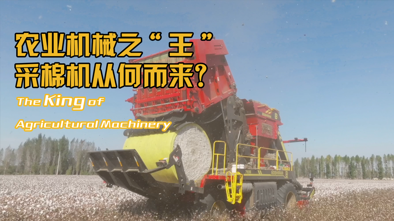 Xinjiang’s Cotton Revolution: How Tech is Transforming Farming 🌾🤖 Xinjiang’s Cotton Revolution: How Tech is Transforming Farming 🌾🤖 video poster