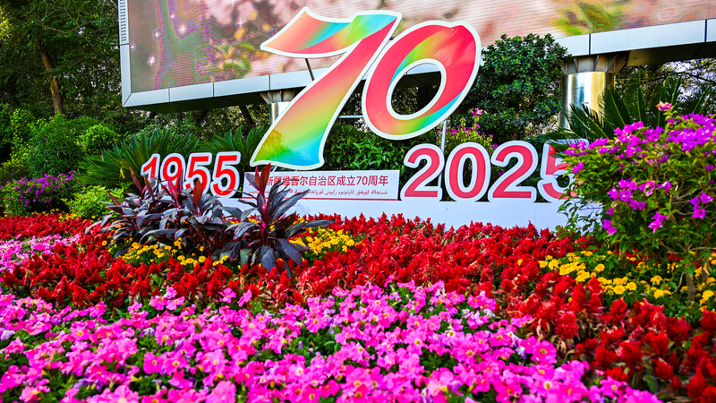 Xi Calls for United Push to Build 'Beautiful Xinjiang' 🌏✨