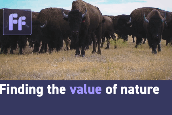 Whales: The Unsung Heroes of Climate Change? 🌊💡 Whales: The Unsung Heroes of Climate Change? 🌊💡 video poster