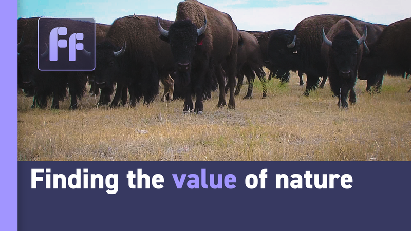 Whales: The Unsung Heroes of Climate Change? 🌊💡 video poster