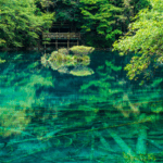 WUDYWQBQ0DW7DVC82FGU - 🌍NewspaperAmigo – Your Global News Buddy 🗞️ 🌈 Five-Flower Lake: Jiuzhaigou’s Ever-Changing ‘Color Sprite’ 🌲 video poster