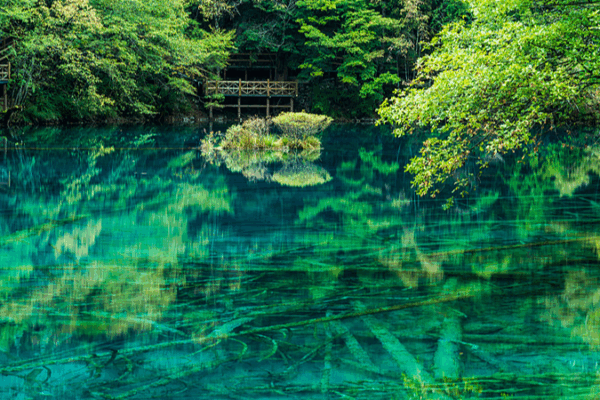 🌈 Five-Flower Lake: Jiuzhaigou’s Ever-Changing ‘Color Sprite’ 🌲 🌈 Five-Flower Lake: Jiuzhaigou’s Ever-Changing ‘Color Sprite’ 🌲 video poster