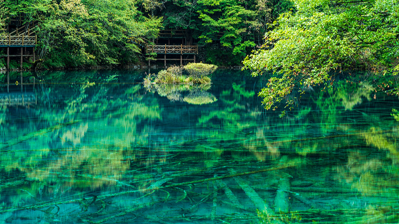 🌈 Five-Flower Lake: Jiuzhaigou’s Ever-Changing ‘Color Sprite’ 🌲 video poster