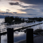 YMB5TEMO0VV466XHV5RX - 🌍NewspaperAmigo – Your Global News Buddy 🗞️ 🌍 Africa Demands Science-Led Climate Action & Fair Finance