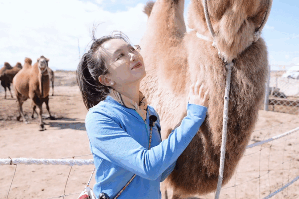 From Desert to Dairy: How Camel Milk is Boosting Xinjiang’s Economy 🐪🥛 From Desert to Dairy: How Camel Milk is Boosting Xinjiang's Economy 🐪🥛 video poster