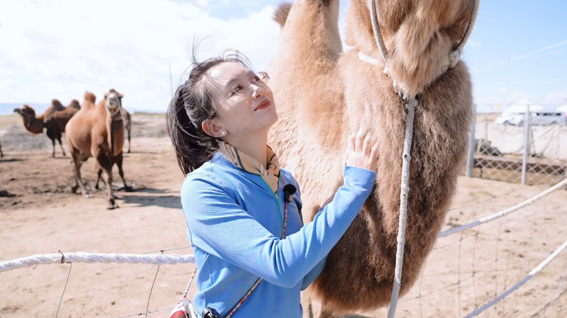 From Desert to Dairy: How Camel Milk is Boosting Xinjiang's Economy 🐪🥛 video poster