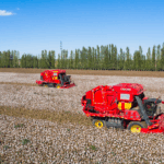 YUOWG0AYVPEAB3S4YYAG - 🌍NewspaperAmigo – Your Global News Buddy 🗞️ Xinjiang Dominates China’s Cotton Industry for 32 Years Straight 🌾👑