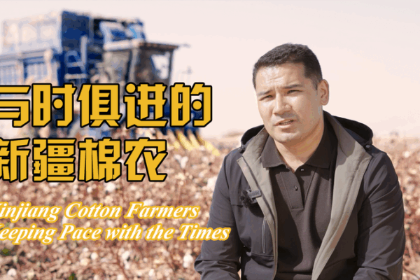 Xinjiang Cotton Farmers Embrace Tech for Prosperity 🌱💡 video poster