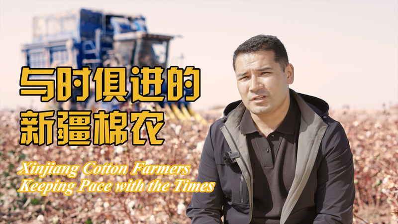 Xinjiang Cotton Farmers Embrace Tech for Prosperity 🌱💡 video poster