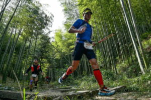 Night Run Lights Up East China's Mogan Mountain 🏃♂️✨