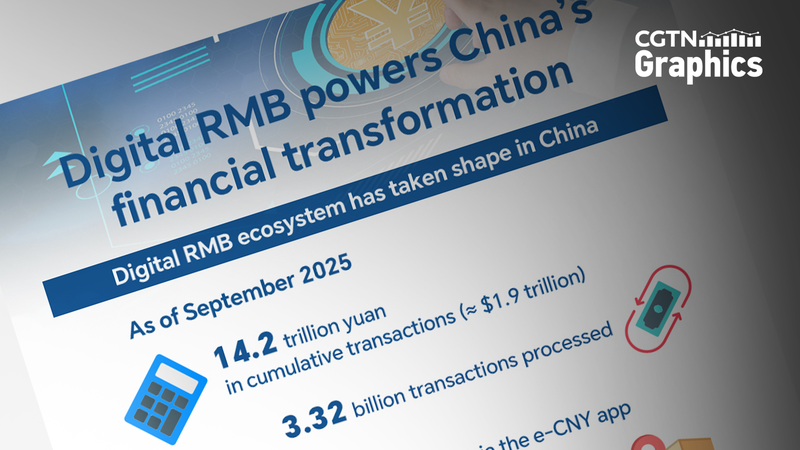 Digital RMB Revolution: China’s Financial Future Goes Cashless 💸🌐 Digital RMB Revolution: China’s Financial Future Goes Cashless 💸🌐