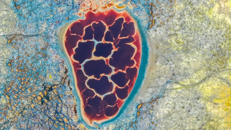 Autumn Magic at Ulan Lake: A Desert Oasis in Full Color 🌾🍂