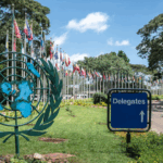 UN & Global Green Initiatives: Saving Our Planet Together 🌱🌍