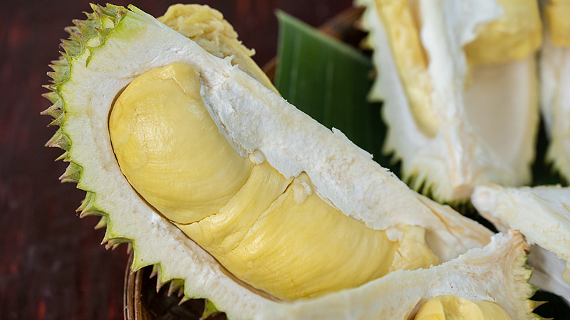 Thai Durian Goes Digital: How Tech is Spicing Up Asia’s Fruit Trade 🚀🥭 Thai Durian Goes Digital: How Tech is Spicing Up Asia’s Fruit Trade 🚀🥭