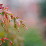 China Braces for Heavy Rains and Gales as Weather Alerts Renewed 🌧️💨