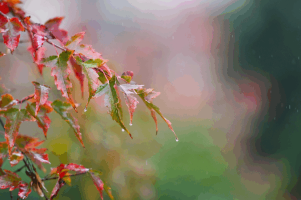 China Braces for Heavy Rains and Gales as Weather Alerts Renewed 🌧️💨