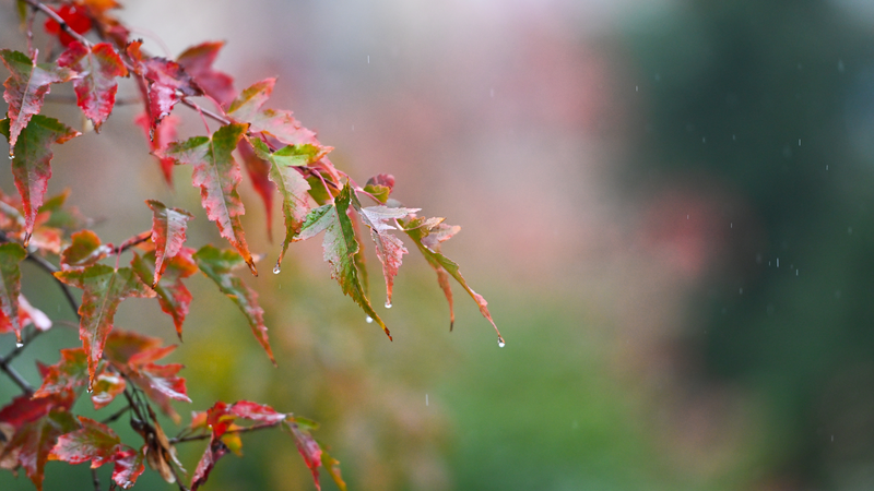 2DPTZ794L7PVJ5IA3YVP - 🌍NewspaperAmigo – Your Global News Buddy 🗞️ China Braces for Heavy Rains and Gales as Weather Alerts Renewed 🌧️💨