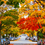 2DTDS46H1JPS4Q9NP20P - 🌍NewspaperAmigo – Your Global News Buddy 🗞️ 🍁 Canada’s Maple Magic: Nature, Culture & APEC Ties 🌍