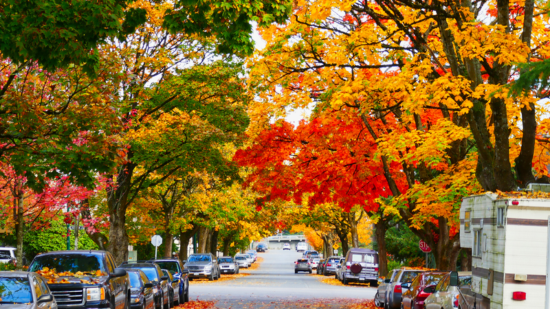🍁 Canada’s Maple Magic: Nature, Culture & APEC Ties 🌍