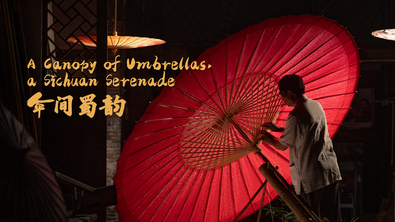 Sichuanโs Oil-Paper Umbrellas: A Familyโs 6-Generation Legacy ๐โจ Sichuanโs Oil-Paper Umbrellas: A Familyโs 6-Generation Legacy ๐โจ video poster