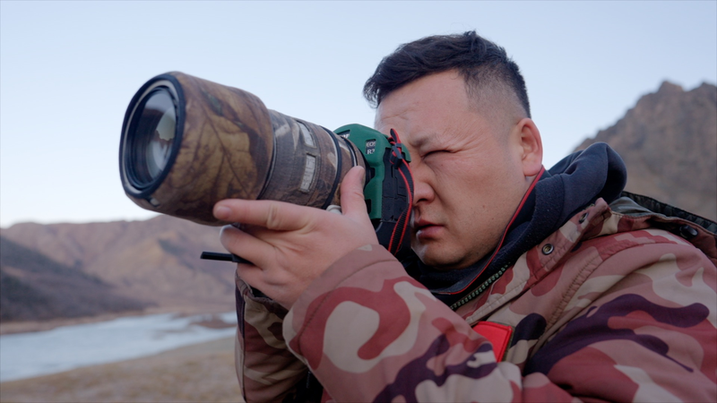 Rare Snow Leopards Thrive in China’s Xinjiang 🐾📸 Rare Snow Leopards Thrive in China’s Xinjiang 🐾📸 video poster
