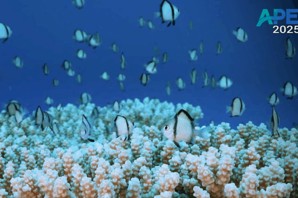 Asia-Pacific Unites for Eco Future 🌱🌊