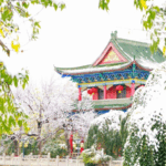 4RBY2XVNOQ8F63WC4QM7 - 🌍NewspaperAmigo – Your Global News Buddy 🗞️ Urumqi's Ancient Architecture Shines in Winter Wonderland ❄️🏯 video poster