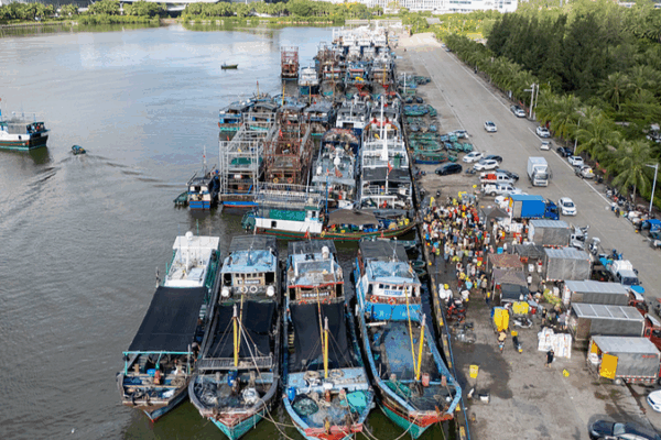 Typhoon Matmo Triggers Emergency Response in South China 🌪️ Typhoon Matmo Triggers Emergency Response in South China 🌪️
