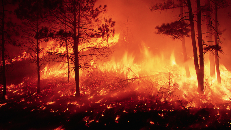 🔥 Wildfires Surge Globally: Half of Worst Fires in Last Decade, Study Finds 🌍 🔥 Wildfires Surge Globally: Half of Worst Fires in Last Decade, Study Finds 🌍