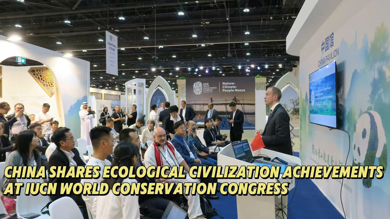 China Showcases Green Wins at Global Eco Summit 🌱🌍 China Showcases Green Wins at Global Eco Summit 🌱🌍 video poster