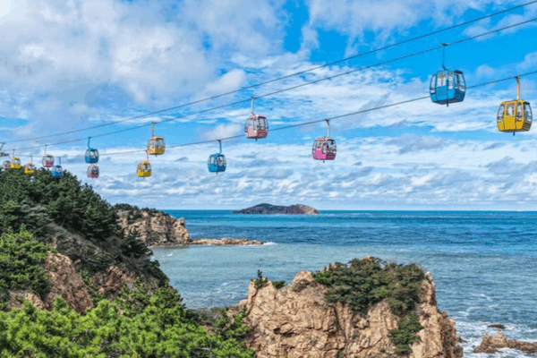 China’s Holiday Travel Boom: 888 Million Trips, $113B Revenue 🌏✈️ China’s Holiday Travel Boom: 888 Million Trips, $113B Revenue 🌏✈️