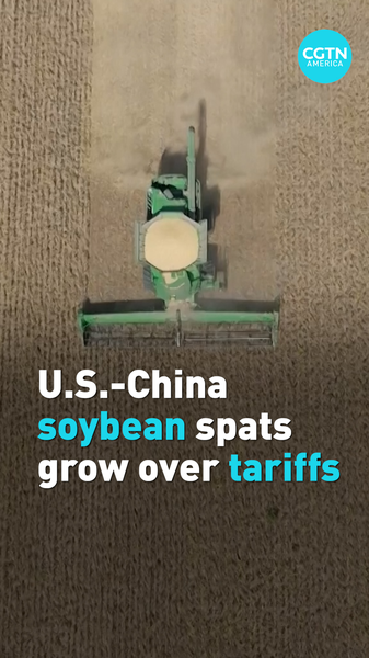 6I6LBBP20DR1EX5YOTWB - 🌍NewspaperAmigo – Your Global News Buddy 🗞️ U.S.-China Soybean Trade War Heats Up 🌾💥 video poster
