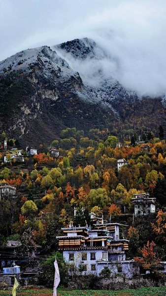 Sichuan’s Jikayi Village Wins UN Tourism Award 🏆🌿 Sichuan's Jikayi Village Wins UN Tourism Award 🏆🌿 video poster