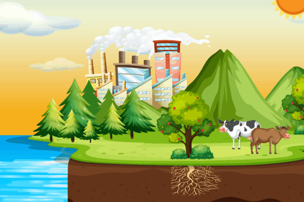New Model Simplifies Global Carbon Tracking 🌱📊 New Model Simplifies Global Carbon Tracking 🌱📊