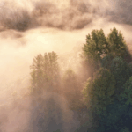 6ZIMY8ROJLTQGII04FQF - 🌍NewspaperAmigo – Your Global News Buddy 🗞️ Jingde County: East China’s Eco-Paradise Thrives with Nature’s Harmony 🌿🦆 video poster