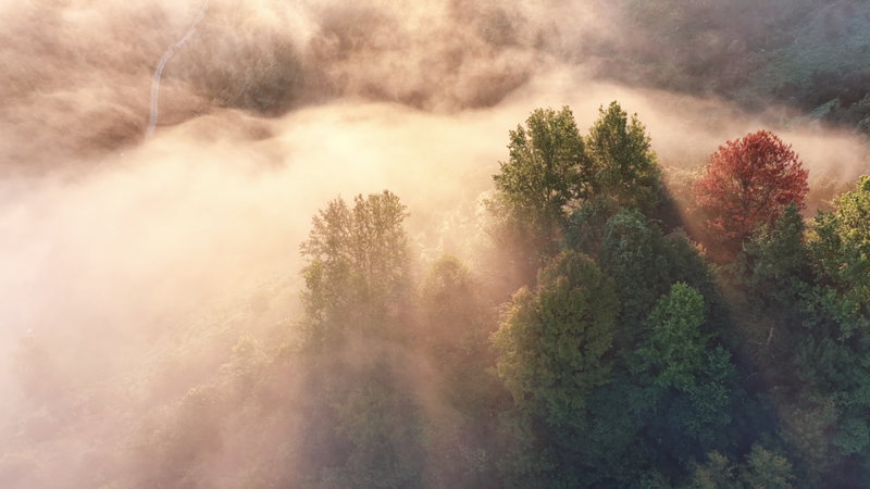 6ZIMY8ROJLTQGII04FQF - 🌍NewspaperAmigo – Your Global News Buddy 🗞️ Jingde County: East China’s Eco-Paradise Thrives with Nature’s Harmony 🌿🦆 video poster