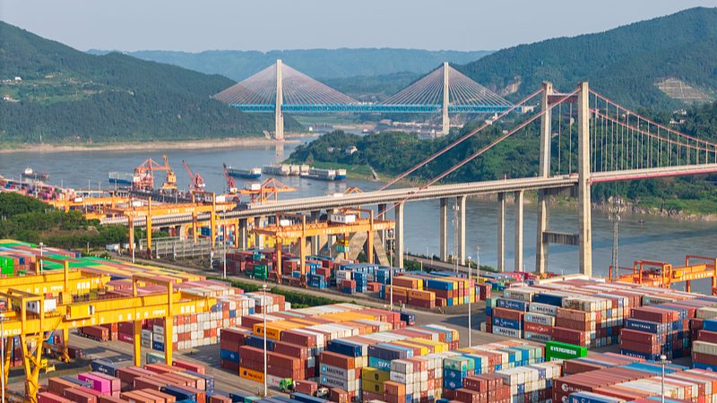 Xi Jinping Calls for Asia-Pacific Unity at APEC Summit 🌏✨