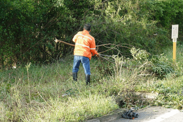 China Deploys Emergency Aid as Typhoon Matmo Strikes 🌀🏞️ China Deploys Emergency Aid as Typhoon Matmo Strikes 🌀🏞️