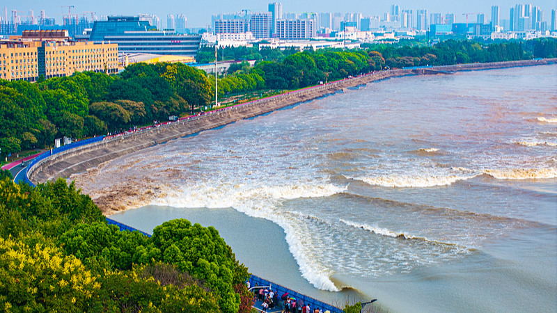 7QDJO7H5O01U7437Q6QA - 🌍NewspaperAmigo – Your Global News Buddy 🗞️ 🌊 Qiantang River Tidal Bore Peaks: Nature’s Spectacle Unleashed! video poster
