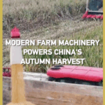 7RA0OTH2ETSPIZAGWCFG - 🌍NewspaperAmigo – Your Global News Buddy 🗞️ 🌾 China’s Autumn Harvest Goes High-Tech with Modern Machinery! video poster
