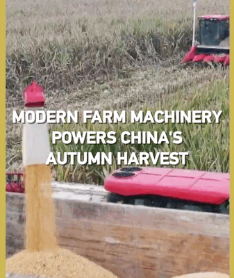 🌾 China’s Autumn Harvest Goes High-Tech with Modern Machinery! 🌾 China’s Autumn Harvest Goes High-Tech with Modern Machinery! video poster