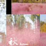 Beijing's Autumn Turns Pink with Dreamy Muhly Grass Blooms 🌸🍂 video poster