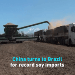 8X87UB4PR6NRRQO6SUUY - 🌍NewspaperAmigo – Your Global News Buddy 🗞️ China’s Soybean Boom: Brazil Becomes Top Supplier 🌱🇨🇳🇧🇷 video poster