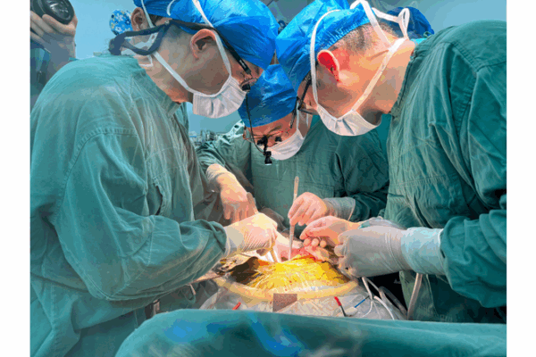 World’s First Gene-Edited Pig Liver Transplant: Patient Survives 6 Months 🐷✨ World’s First Gene-Edited Pig Liver Transplant: Patient Survives 6 Months 🐷✨