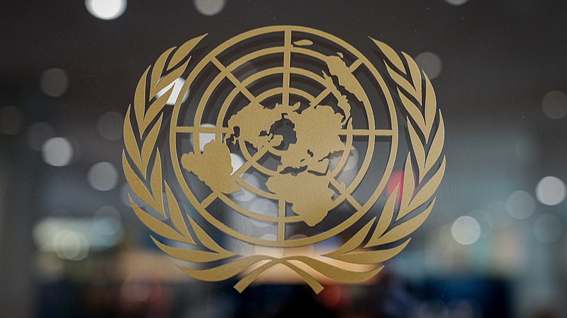 9W7YS0MX7XANZB9X4YME - 🌍NewspaperAmigo – Your Global News Buddy 🗞️ UN’s 80th Anniversary Seminar Spotlights Taiwan’s Status 🌍✨