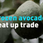 B2G7U49GLV0R5R0O6UI9 - 🌍NewspaperAmigo – Your Global News Buddy 🗞️ Peru’s Avocado Breakthrough: First Frozen Shipment Lands in China 🥑✈️ video poster