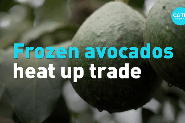 Peru’s Avocado Breakthrough: First Frozen Shipment Lands in China 🥑✈️ Peru’s Avocado Breakthrough: First Frozen Shipment Lands in China 🥑✈️ video poster