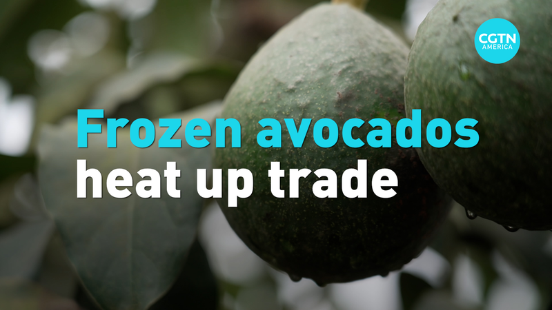 Peru’s Avocado Breakthrough: First Frozen Shipment Lands in China 🥑✈️ video poster