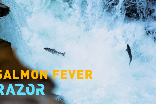 Norway’s Salmon Crisis: AI Joins the Fight Against Invasive Species 🐟🤖 Norway’s Salmon Crisis: AI Joins the Fight Against Invasive Species 🐟🤖 video poster